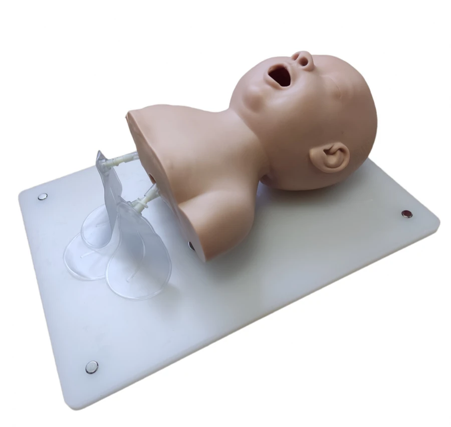 Newborn model for intubation, 2A