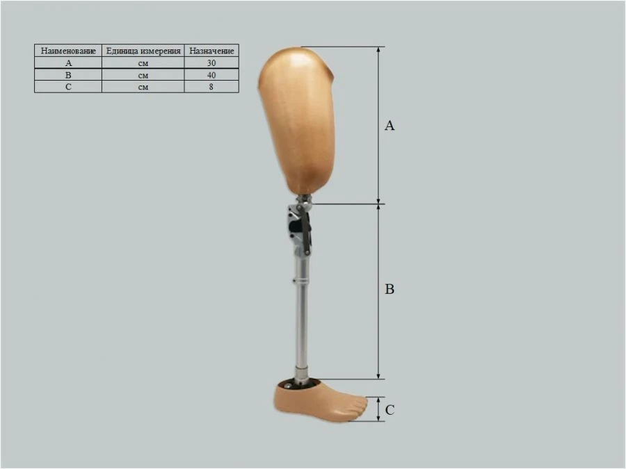 Hip prosthesis for bathing