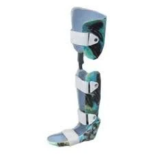 Ankle and knee joint apparatus