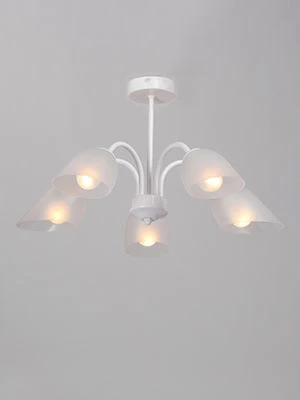 General purpose fixed luminaire V33360-0/5PL