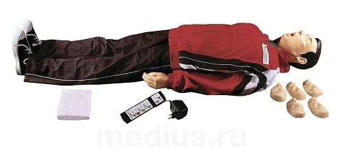 Spring-mechanical simulator for adult and child cardiopulmonary and cerebral resuscitation techniques with correctness indicatio