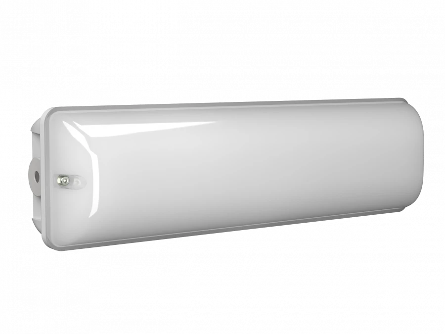 Emergency luminaire BS-METEOR-53-L1-INEXI2