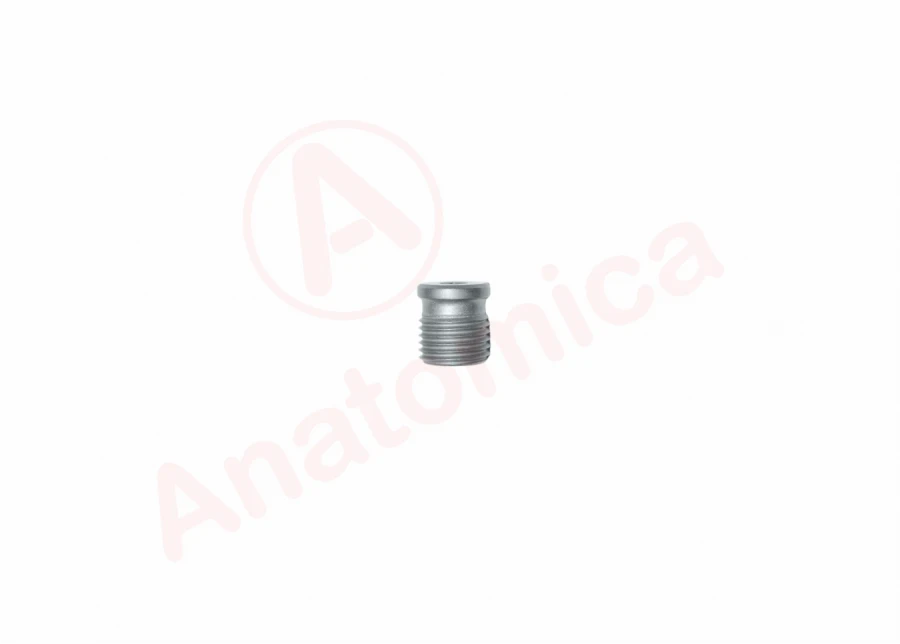 Cap screw M10