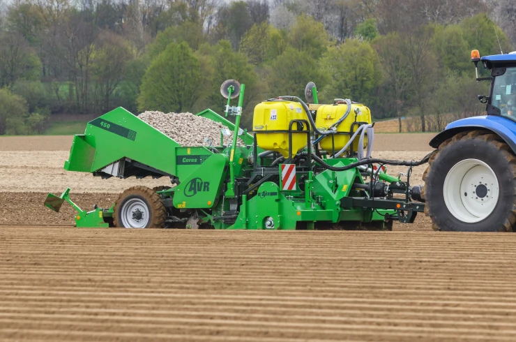 Planting in the field