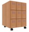 Formular mobile module for dispensing department, 9 drawers