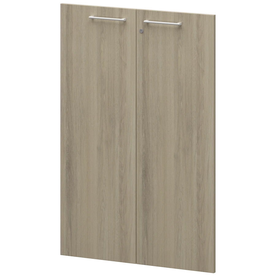 Doors KZF-38 (set of 2 pcs.)