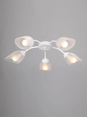 General purpose fixed luminaire V3750-0/5PL