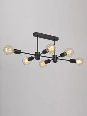 General purpose fixed luminaire V3989-1/6PL
