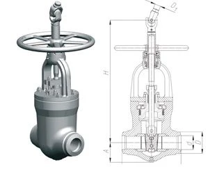 Gate valve 1016-250-CZ