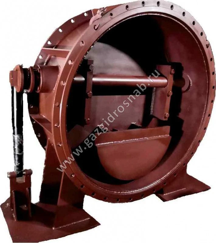 Check valve with soft sealing and damping device 19c20p