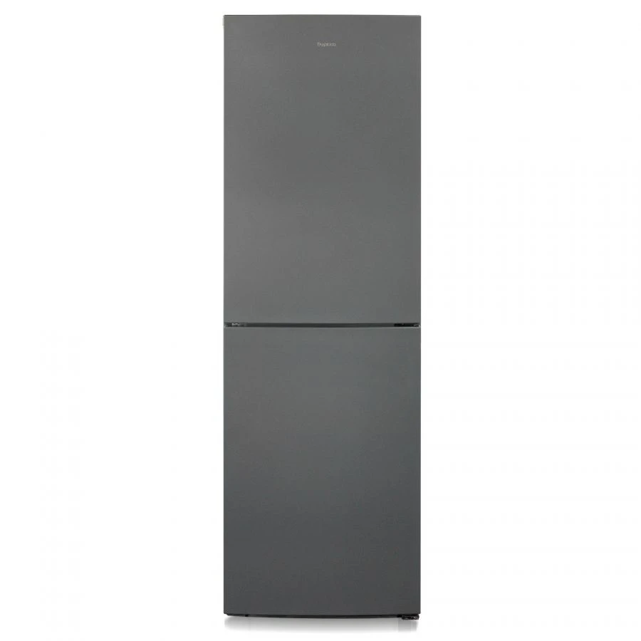 Refrigerator-freezer "Biryusa W6031"