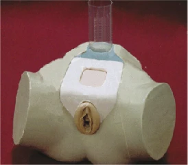 Mannequin for bladder puncture (female), 29F