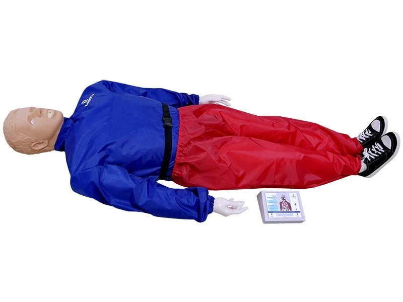 Advanced CPR training mannequin (smart monitor), CPR2300S