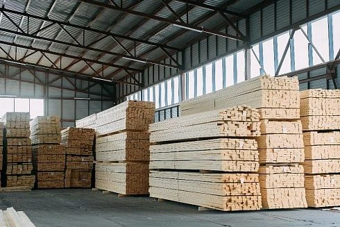 High-Quality Timber for Construction and Furniture Making