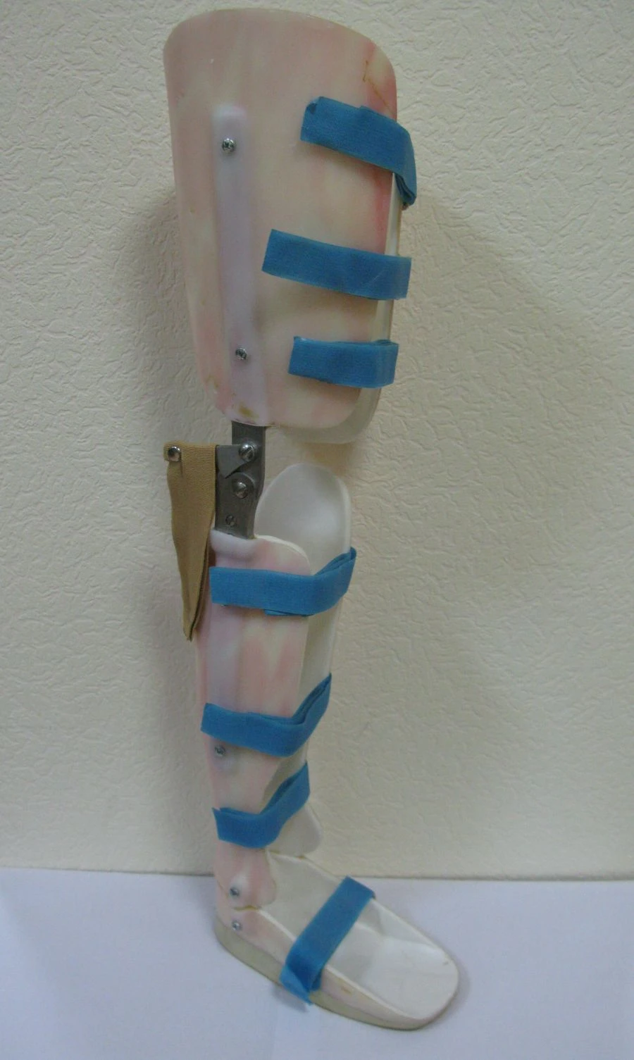 Ankle and knee joint apparatus