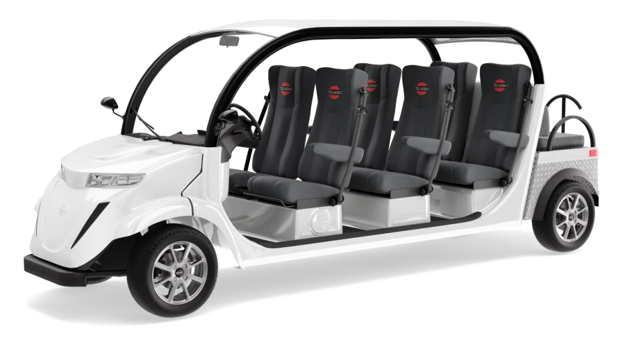 Electric car "Elekar 5E-TIGARBO" 6+2