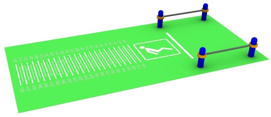 Two-Legged Push Long Jump with a marking of at least 320 cm SC