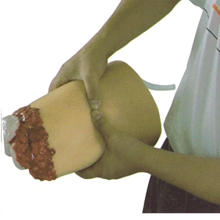 Hip model with amputation injury, H3008/ FA6840