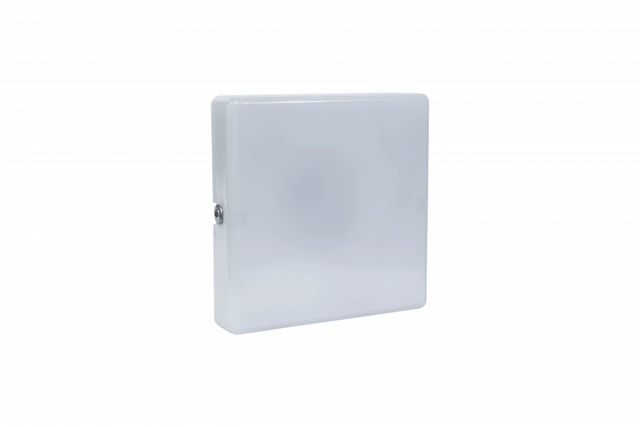 Led-Kostroma ZhKh 10-04-001-UHL4 luminaire (frosted glass)