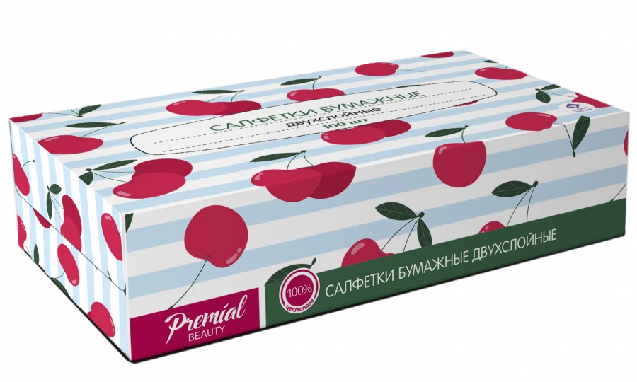 Two-Ply White Paper Napkins in Box for Everyday Use 1/100/21