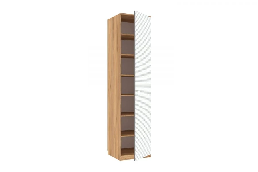 Modex-2 LD.522030.000 Single-leaf wardrobe front (White )