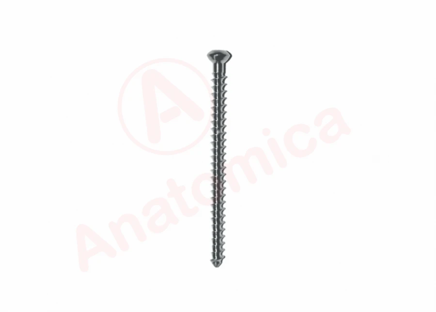Sponge screw, solid threads