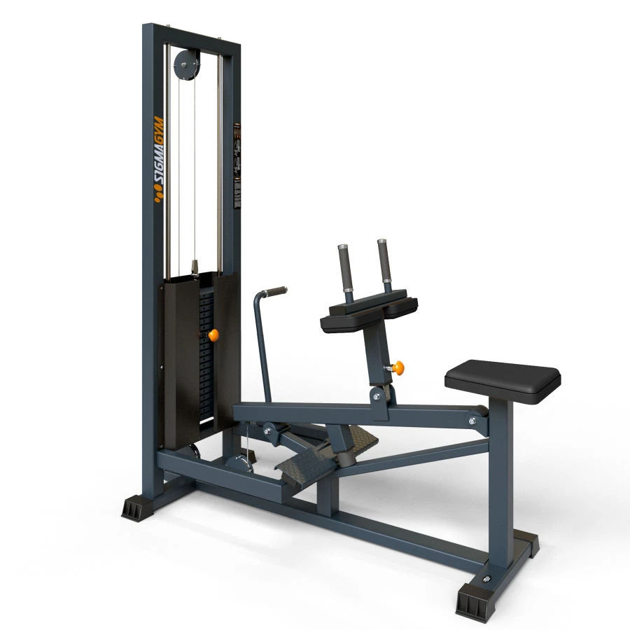 BF-110 Sit-up shin machine