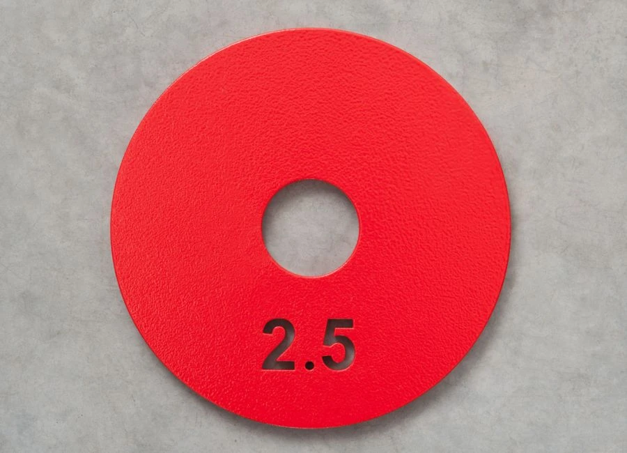 Steel training disc 2,5 kg