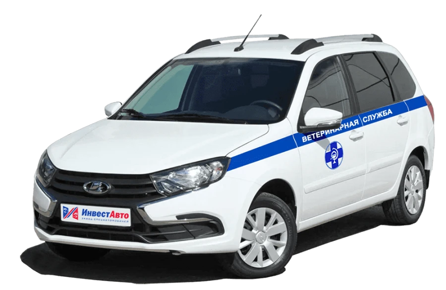 Cars for carriage of people other type M1GR mod. M1GRVC on the basis of LADA, type 219, mod.219140