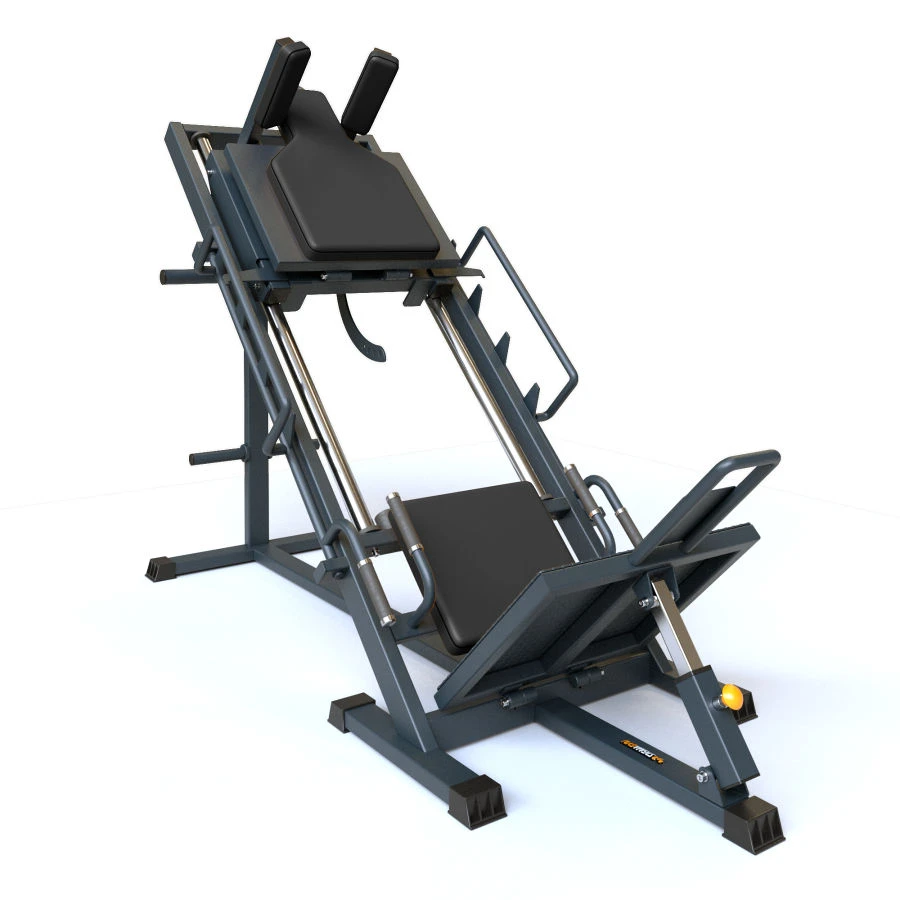 BF-202.1 Leg Press - Gak Machine Combination