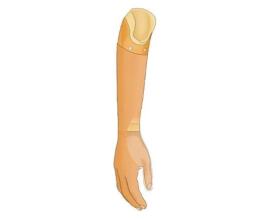 Forearm prosthesis cosmetic PR2-K-OC