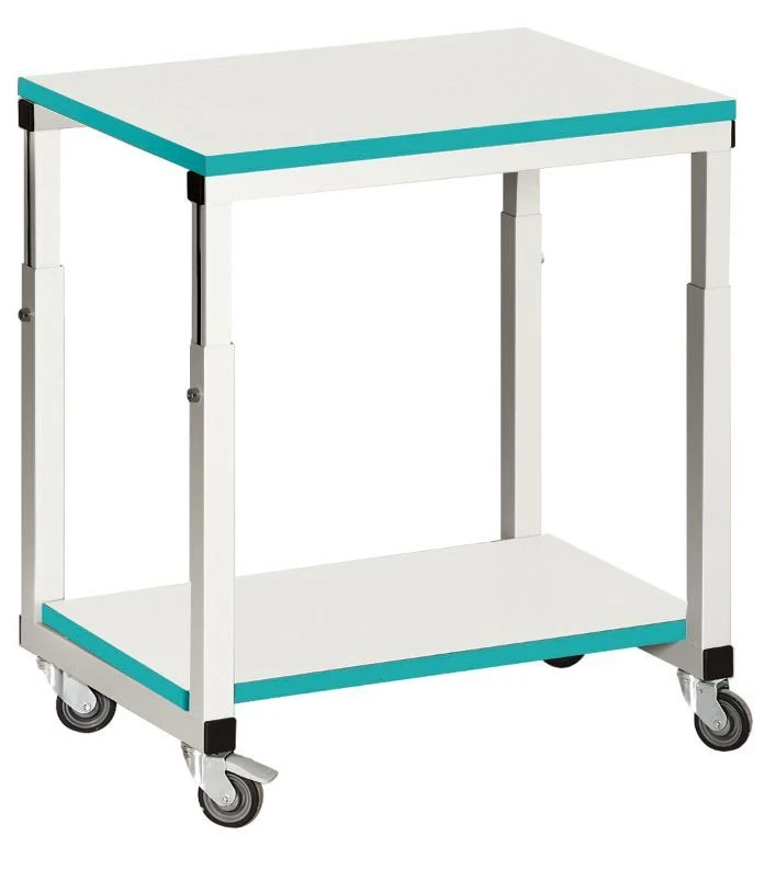 Laboratory furniture Viking LAB: laboratory rolling table, PS LAB