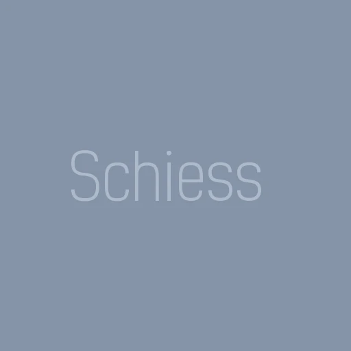 Manufacture of pallets, platforms, chip conveyors and Schiess electrical cabinets