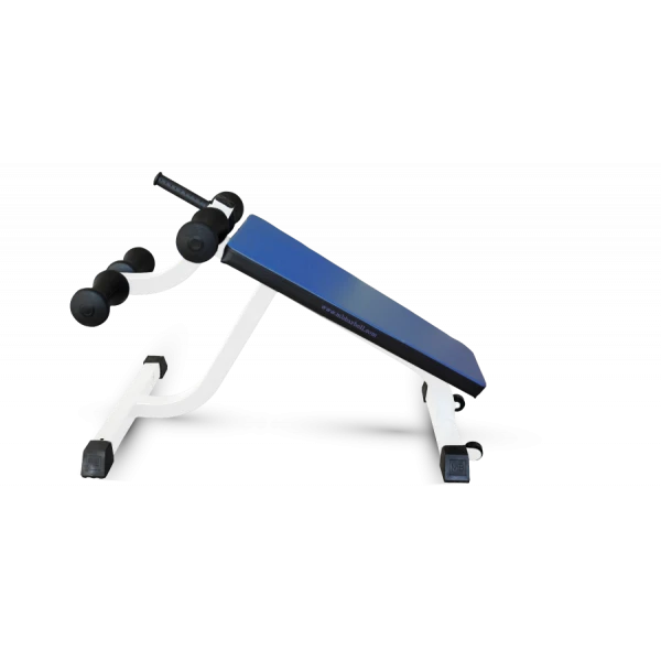 Bench for abs