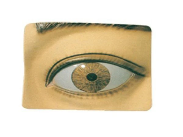 Pupil response model, 17107