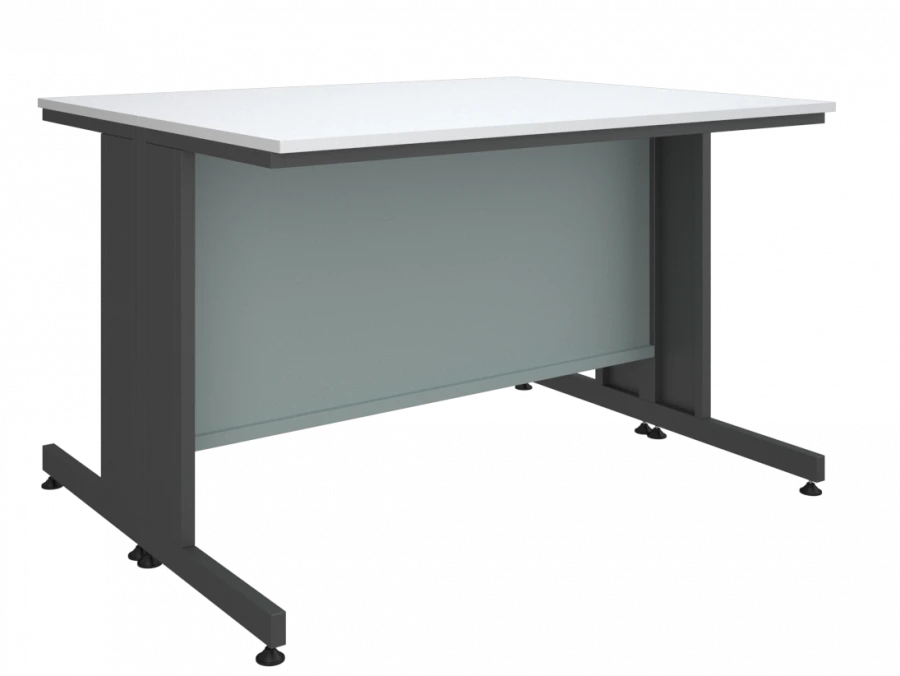Low laboratory table 2