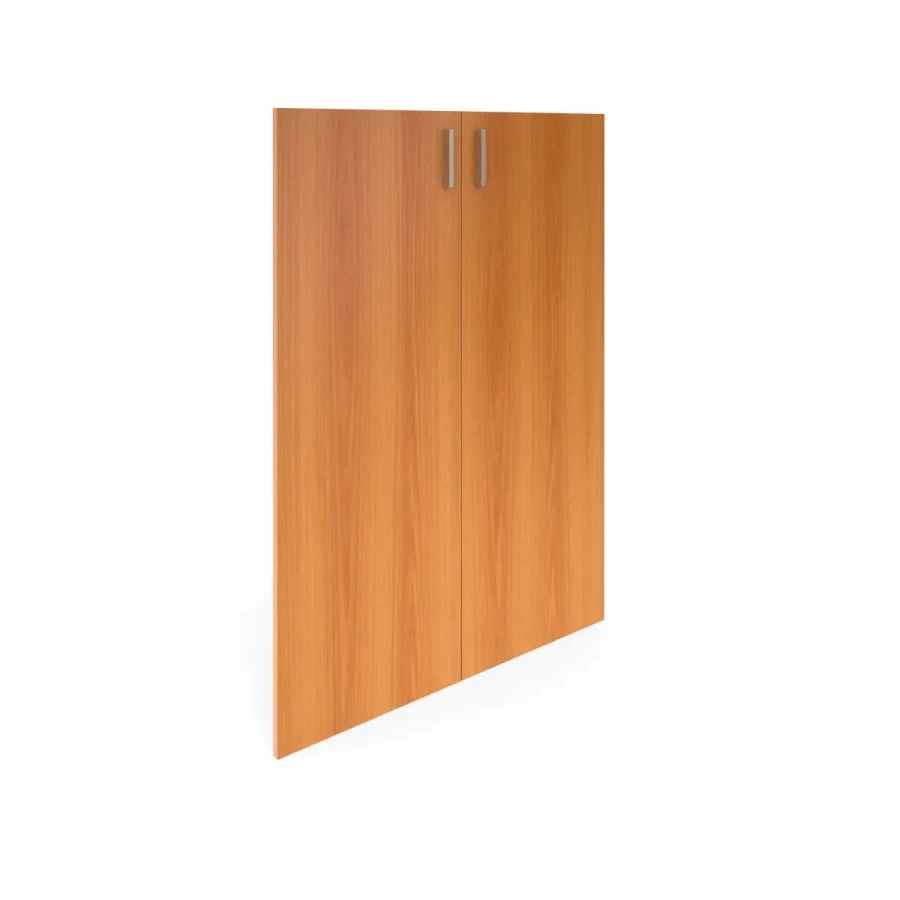 Doors B-864 (set of 2 pieces)
