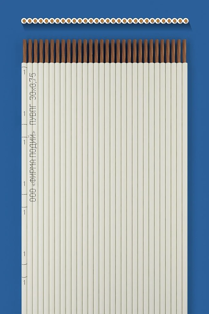 Flat installation wire PUVPG 30x0,75