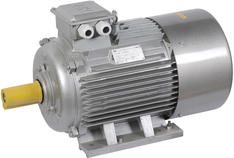 Three-phase asynchronous induction motor AIR 280M2 660V 132kW 3000rpm 2081 DRIVE IEK