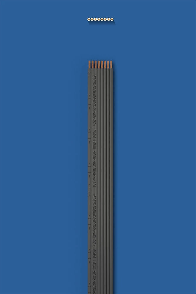 Installation flat wire with two-layer (double) insulation PUUVVVPG 8õ0,50