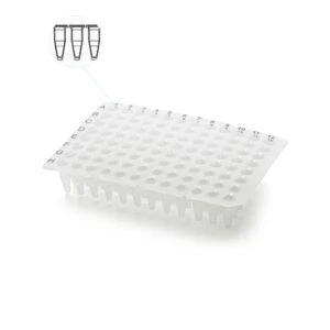 Non-sterile plate for PCR-diagnostics according to TU 32.50.50-011-48072026-2022, variants of execution: 96-well PCR plate witho