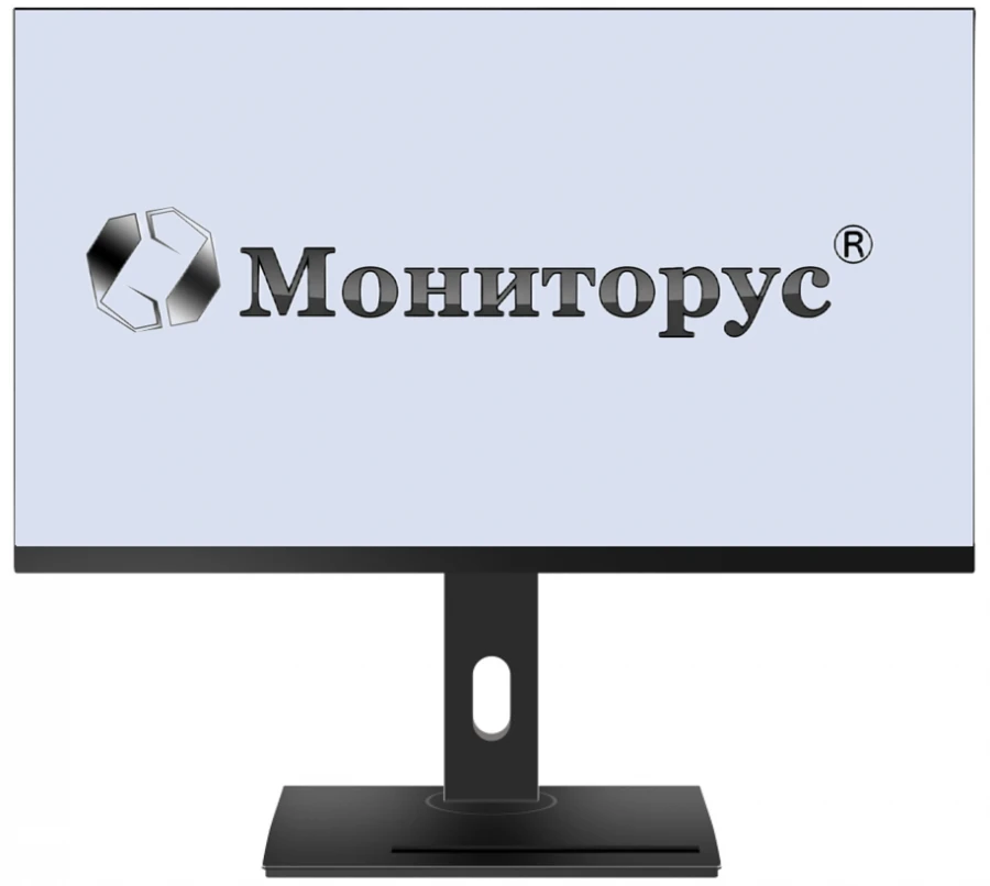 LCD monitor MONITORUS 2410/DP HS2410