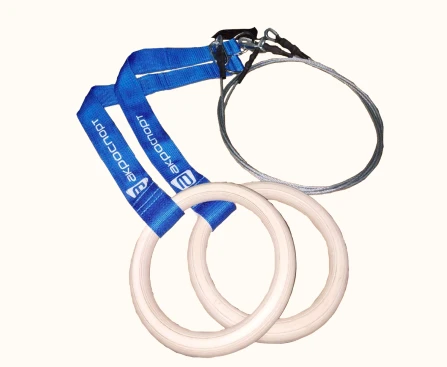 Gymnastic rings with pendant