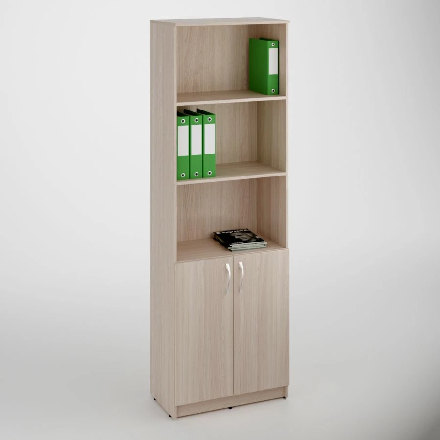 Filing cabinet 2 doors, shelves.
