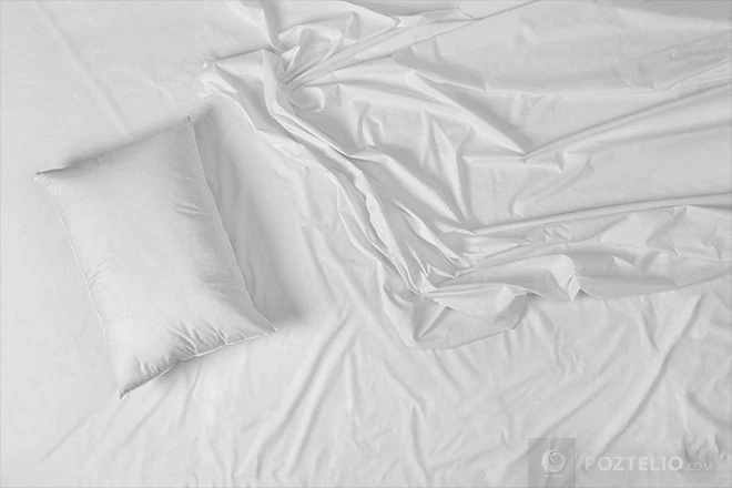 Sheet