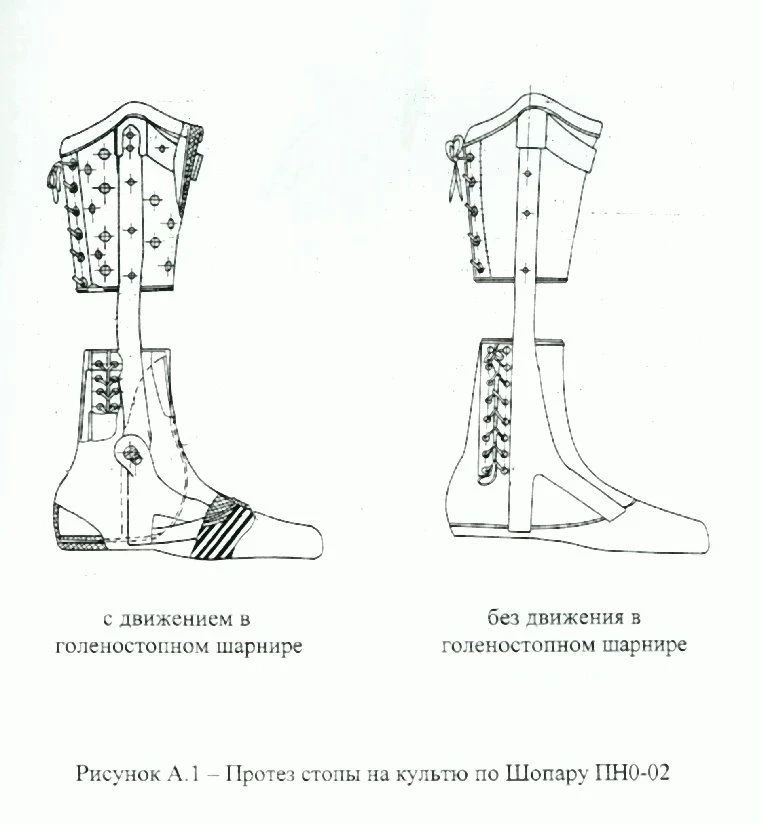 Foot prosthesis by Shopar PN0-02