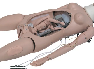 Childbirth simulator, F55