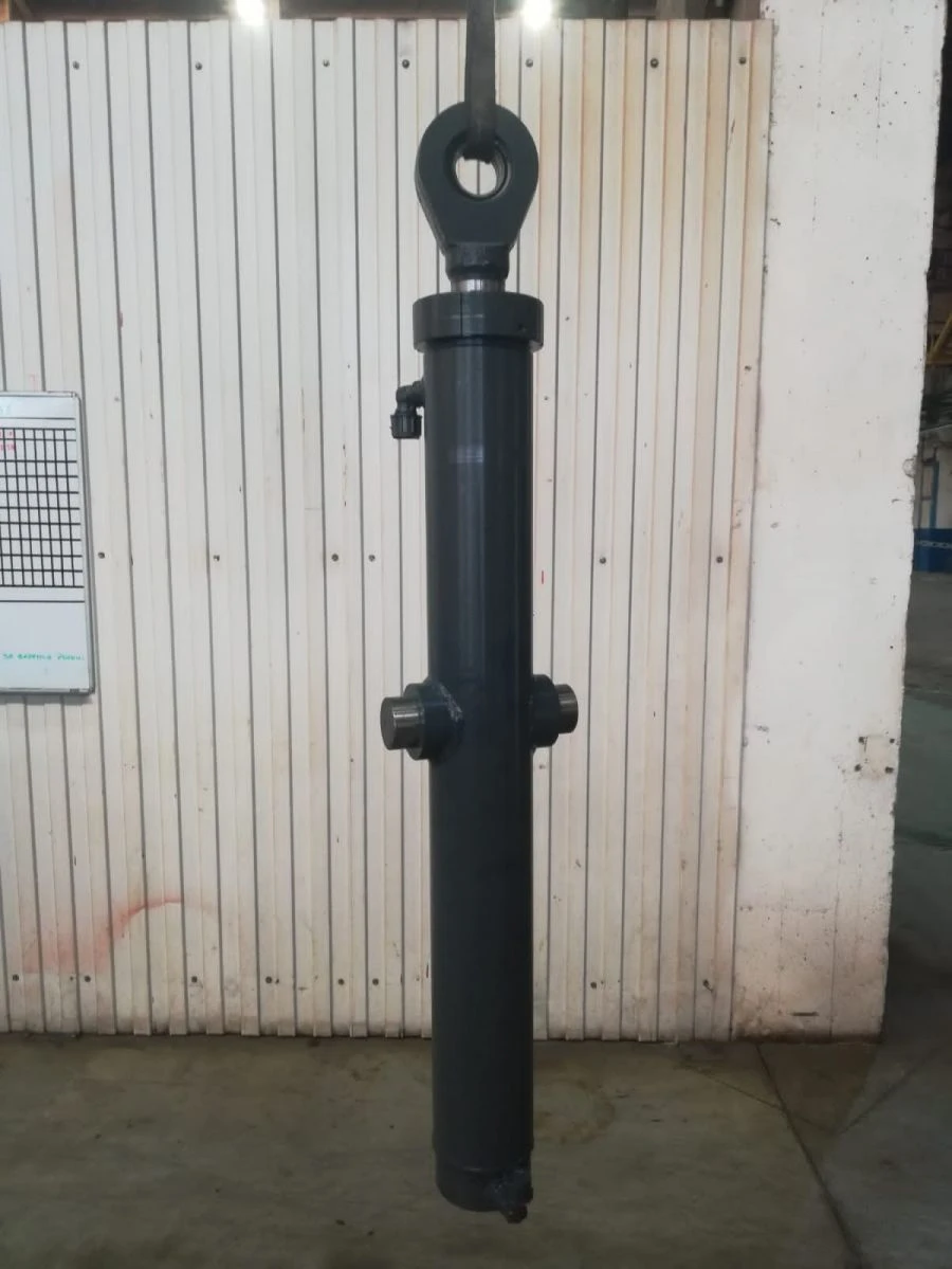 Hydraulic cylinder GTs 100.60.25.000