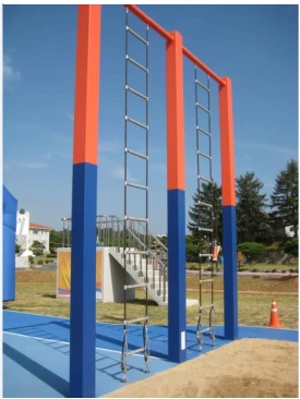 PP Element Assault Ladder