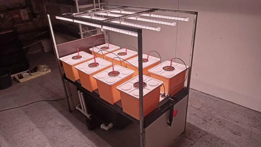 Hydroponic plant "ND-8"